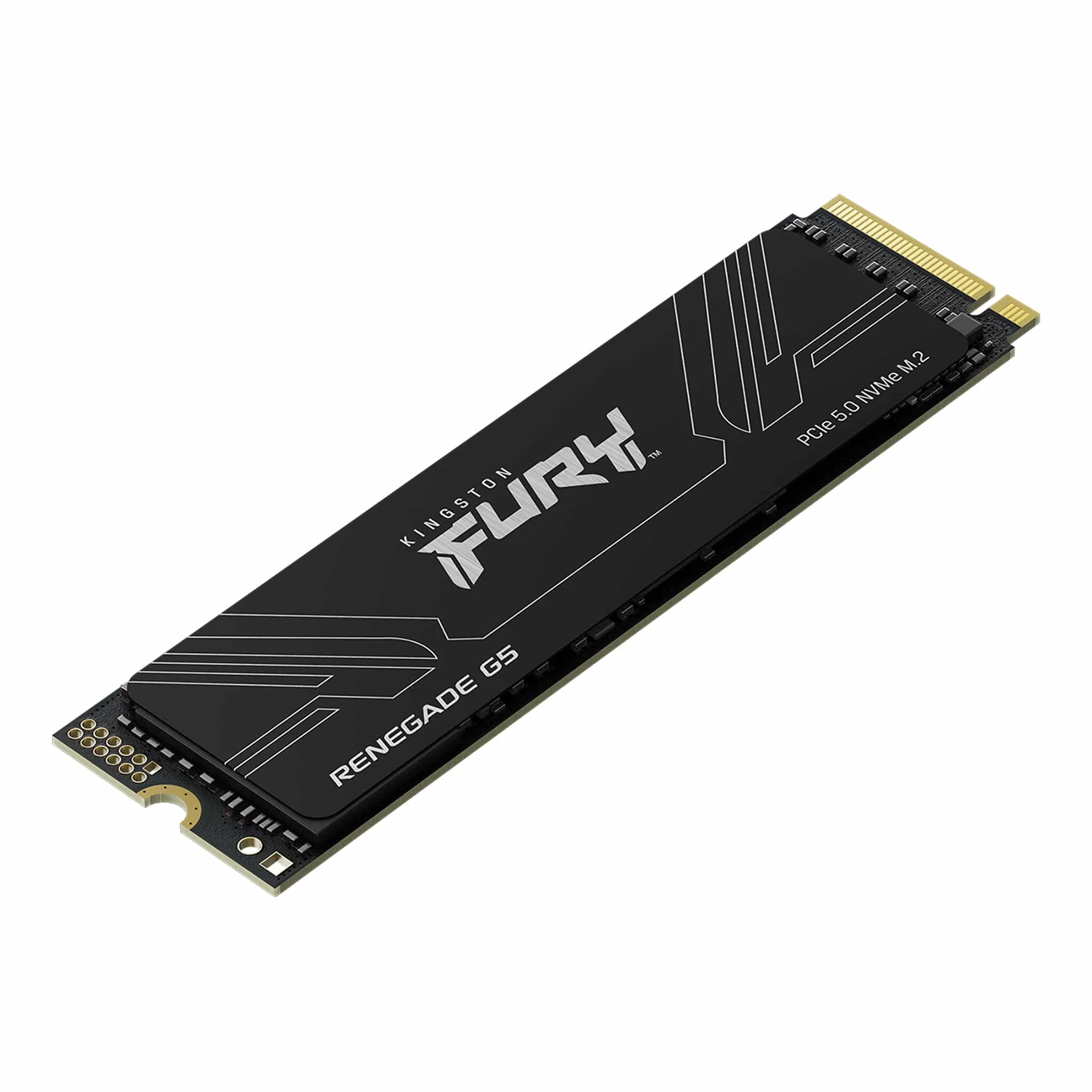 Накопитель SSD 4TB Kingston FURY Renegade G5 (SFYR2S/4T0)