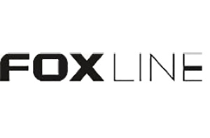 Корпус Foxline FL-203-TFX300S 300W